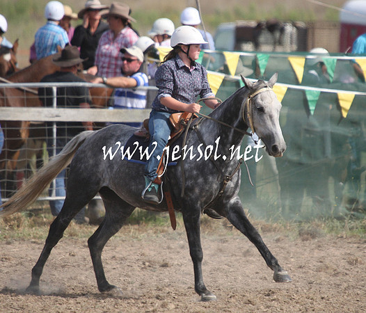 BombalaCampdraft2013Sat_0632