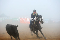 BombalaCampdraft2013Sat_0029