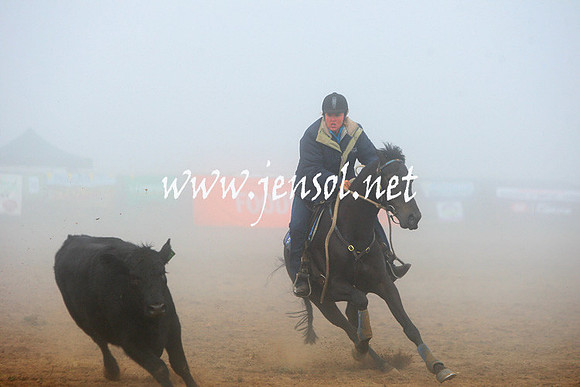 BombalaCampdraft2013Sat_0029