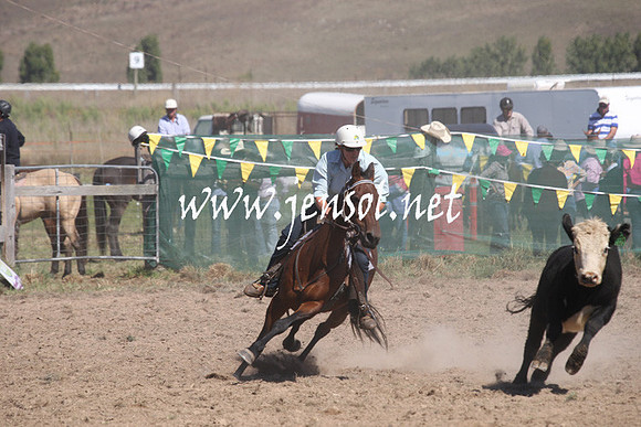 BombalaCampdraft2013Sat_0364