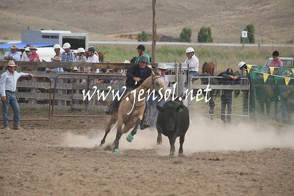 BombalaCampdraft2013Sat_0820