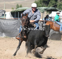 BombalaCampdraft2013Sat_0155