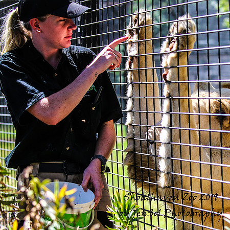ShoalhavenZoo2019_0519