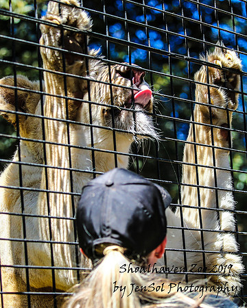 ShoalhavenZoo2019_0449