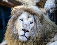 ShoalhavenZoo2019_0072