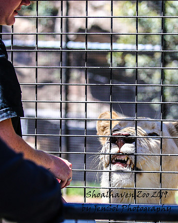 ShoalhavenZoo2019_0458