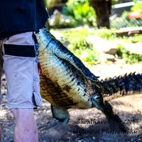 ShoalhavenZoo2019_0266