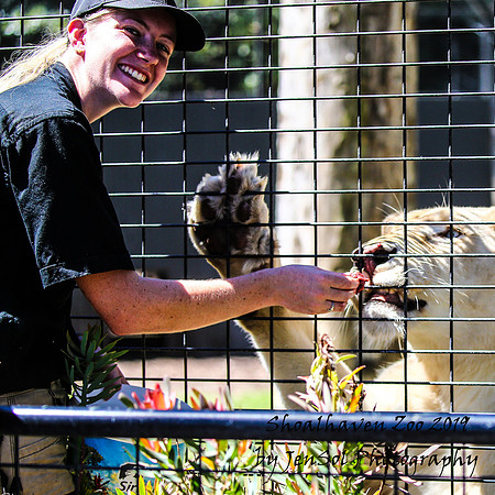 ShoalhavenZoo2019_0484