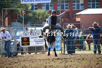 QueanbeyanRodeo2016_4361