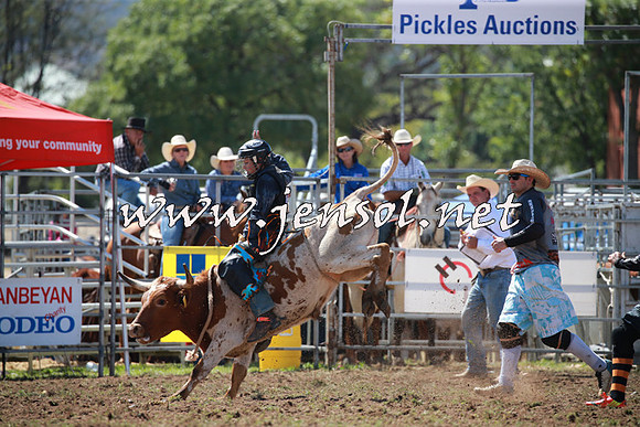 QueanbeyanRodeo2016_4737