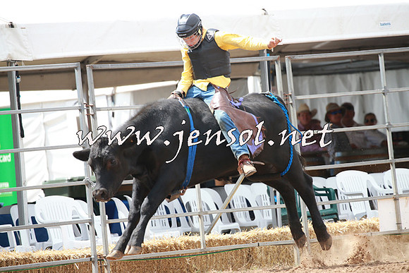 QueanbeyanRodeo2016_6028