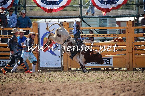 QueanbeyanRodeo2016_4494