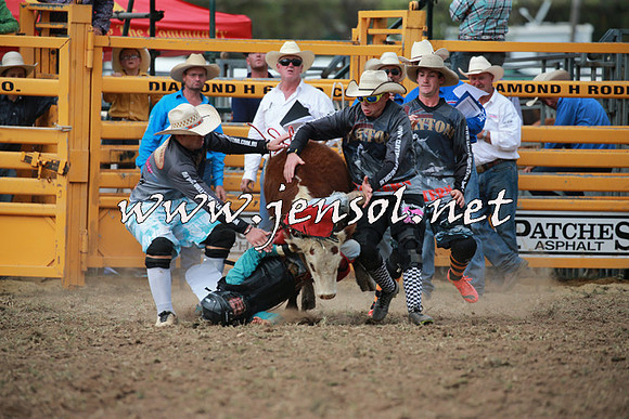 QueanbeyanRodeo2016_6282