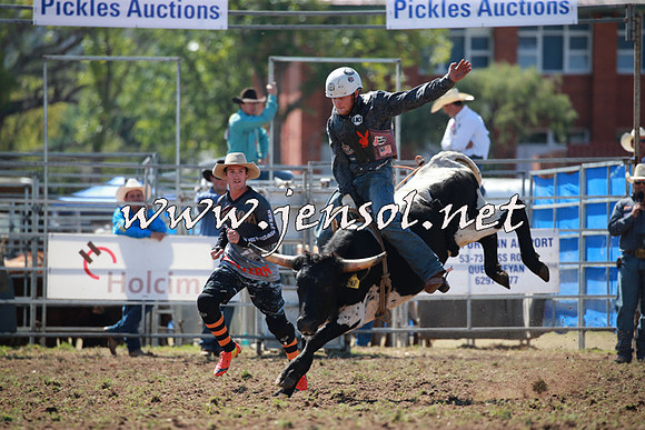 QueanbeyanRodeo2016_4551