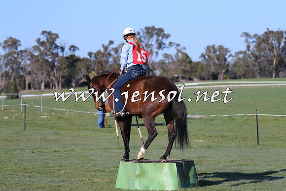 TumbarumbaStockmensChallenge_0897