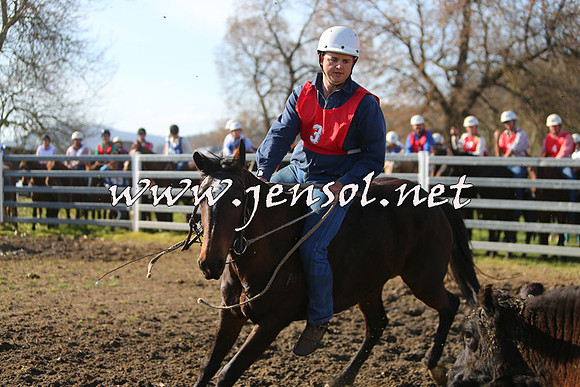 TumbarumbaStockmensChallenge_1710