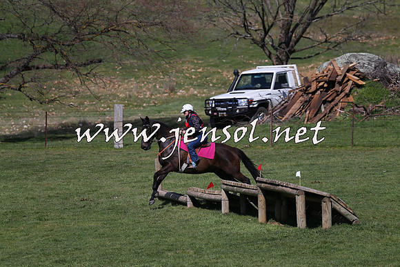 TumbarumbaStockmensChallenge_1185