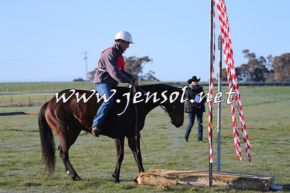 TumbarumbaStockmensChallenge_0806