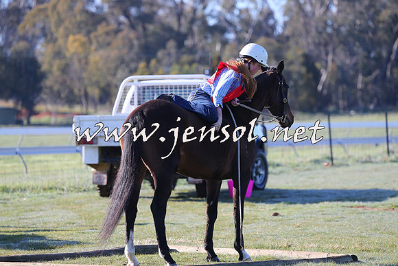 TumbarumbaStockmensChallenge_0873