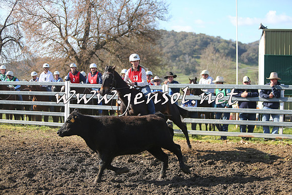 TumbarumbaStockmensChallenge_1789