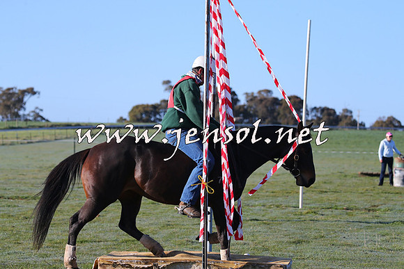 TumbarumbaStockmensChallenge_0816