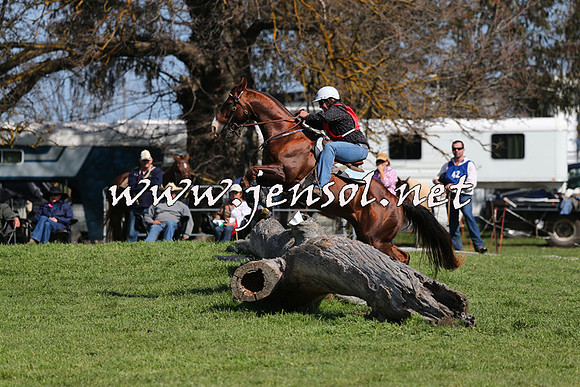 TumbarumbaStockmensChallenge_1169