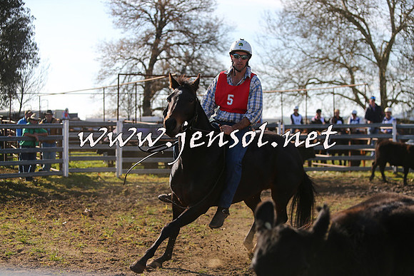 TumbarumbaStockmensChallenge_1720