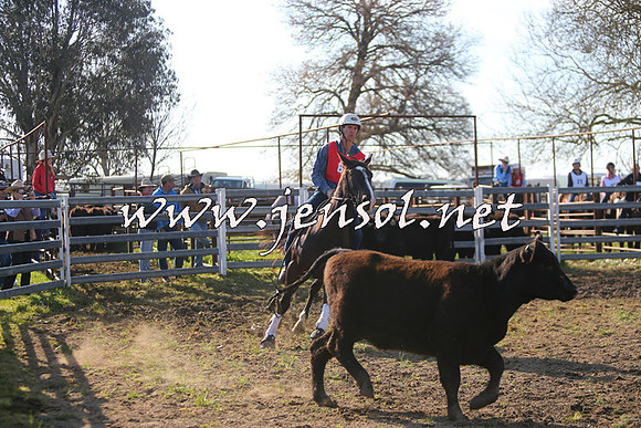 TumbarumbaStockmensChallenge_1721
