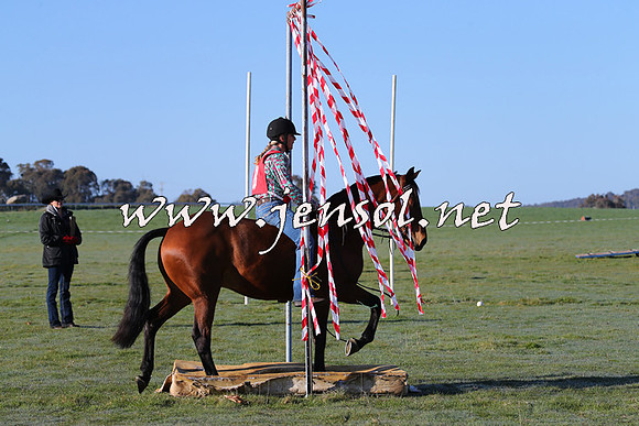 TumbarumbaStockmensChallenge_0837