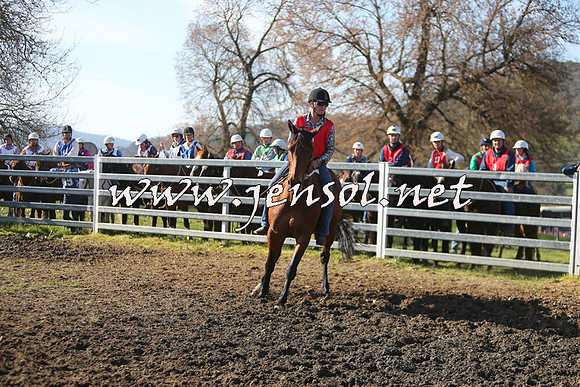 TumbarumbaStockmensChallenge_1737