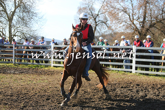 TumbarumbaStockmensChallenge_1773