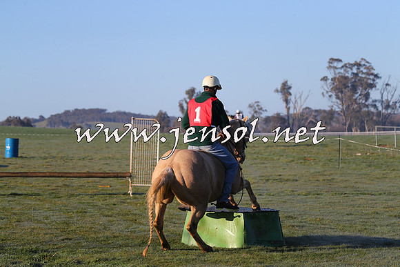 TumbarumbaStockmensChallenge_0797