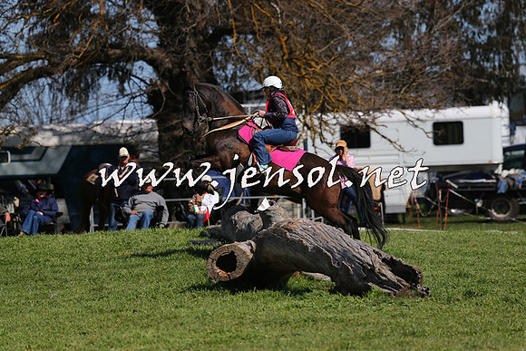 TumbarumbaStockmensChallenge_1183