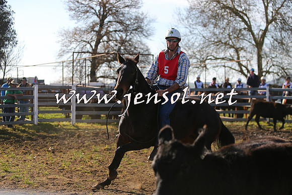TumbarumbaStockmensChallenge_1719