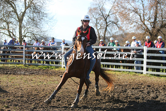 TumbarumbaStockmensChallenge_1771