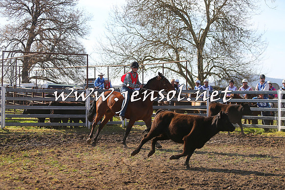 TumbarumbaStockmensChallenge_1746