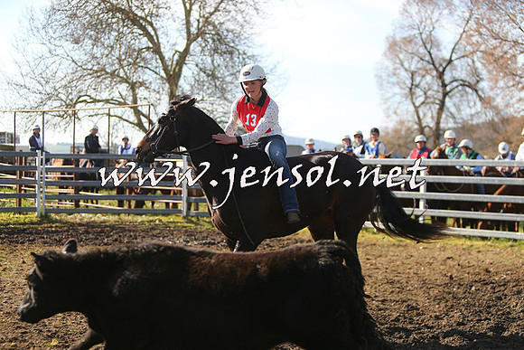 TumbarumbaStockmensChallenge_1788