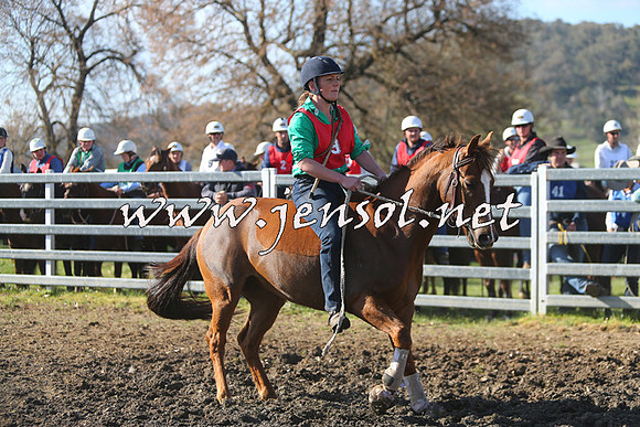 TumbarumbaStockmensChallenge_1754