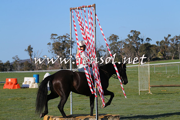 TumbarumbaStockmensChallenge_0864