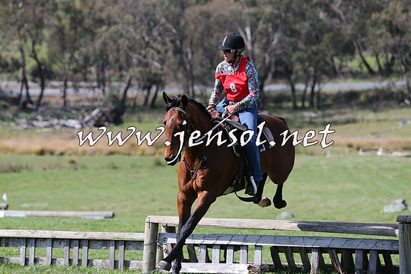TumbarumbaStockmensChallenge_1148