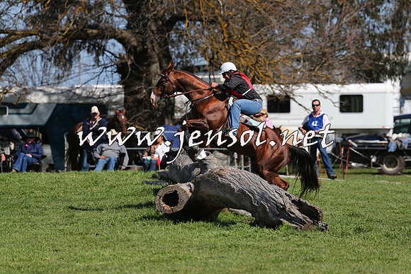 TumbarumbaStockmensChallenge_1170