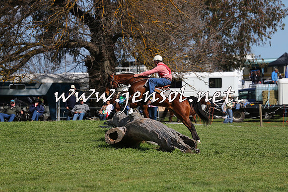 TumbarumbaStockmensChallenge_1100