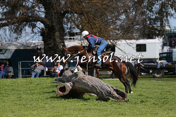 TumbarumbaStockmensChallenge_1085