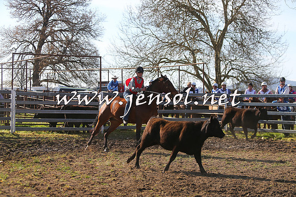 TumbarumbaStockmensChallenge_1745
