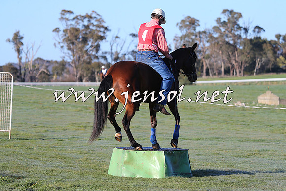 TumbarumbaStockmensChallenge_0813