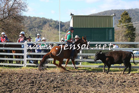 TumbarumbaStockmensChallenge_1760