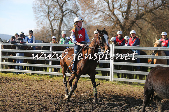 TumbarumbaStockmensChallenge_1792