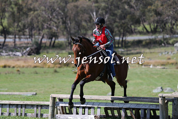 TumbarumbaStockmensChallenge_1147
