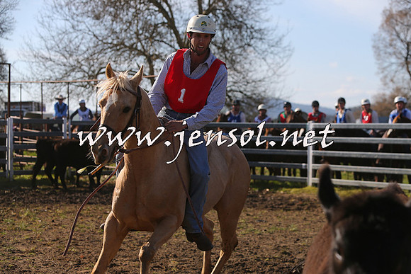 TumbarumbaStockmensChallenge_1700