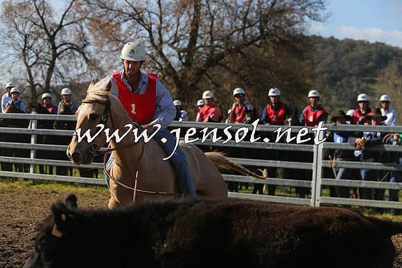 TumbarumbaStockmensChallenge_1697
